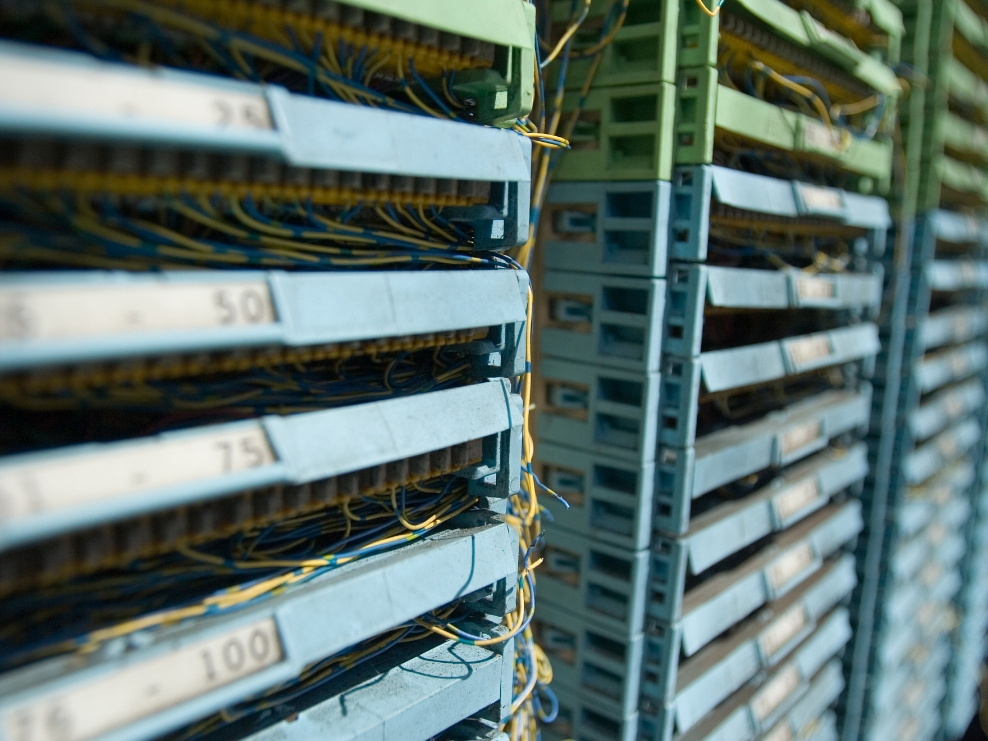 190103016 156966546 1730594273