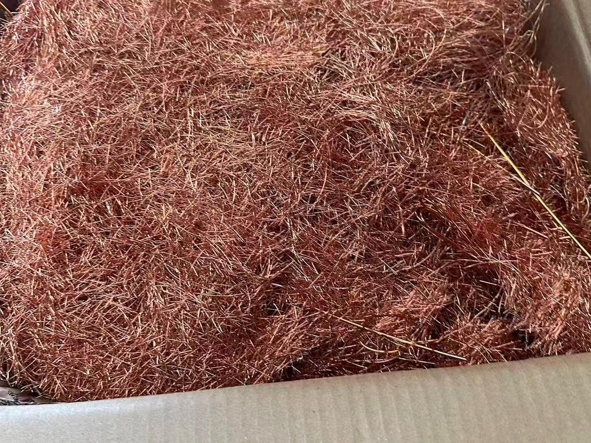 whatsapp image 2025 11 12 at 16.43.24